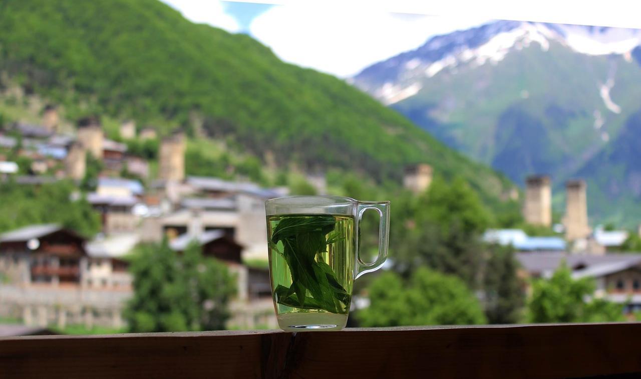 Travel Inn House Mestia • Მოგზაურის Სახლი エクステリア 写真